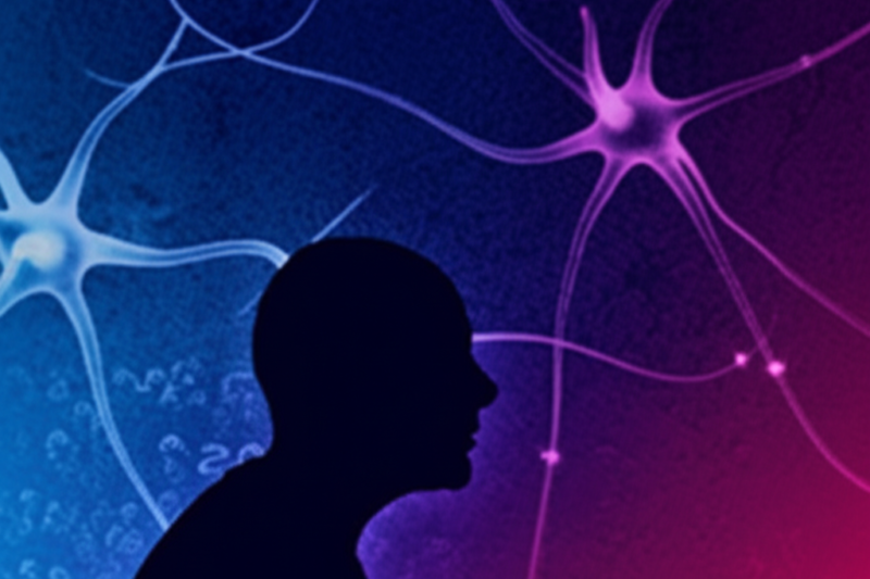 Why Are We Afraid? The Science Behind Common Phobias